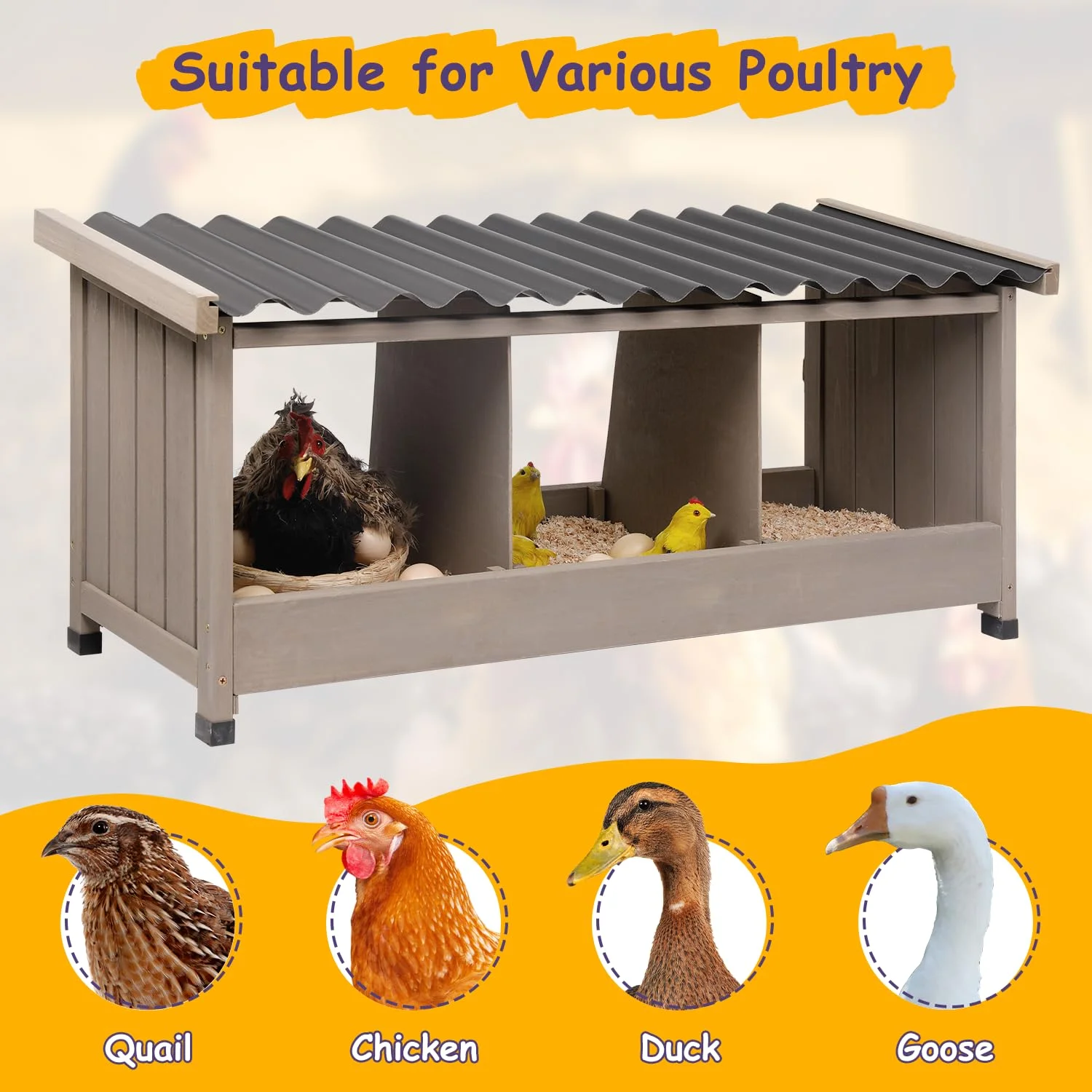 Gowoodhut PET56 Chicken Nesting Box, 3 Compartments Wooden Chicken Coop - Image 3